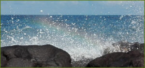 Mehr über den Artikel erfahren Nach der Aufstellung