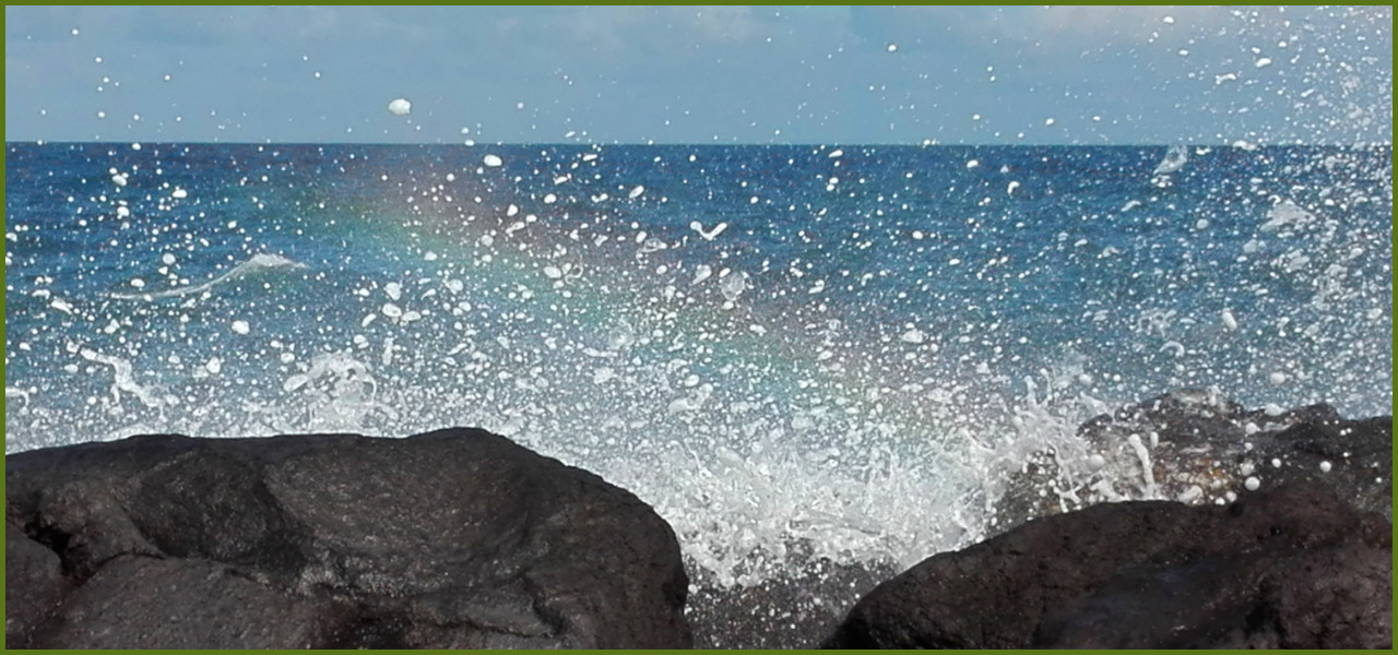 Du betrachtest gerade Nach der Aufstellung